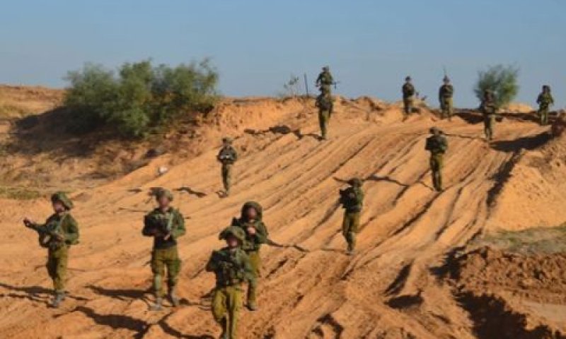 [צילום: דובר צה"ל]