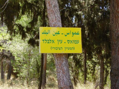 פעילי השמאל הציבו שלט הנצחה [עומר כרמון]