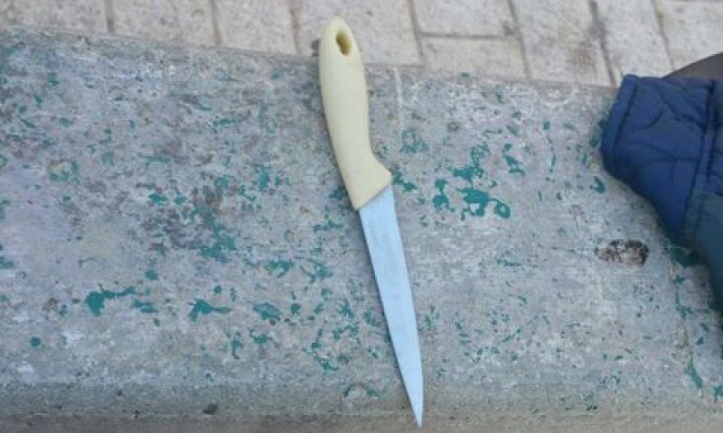 [צילום: דוברות מג"ב]