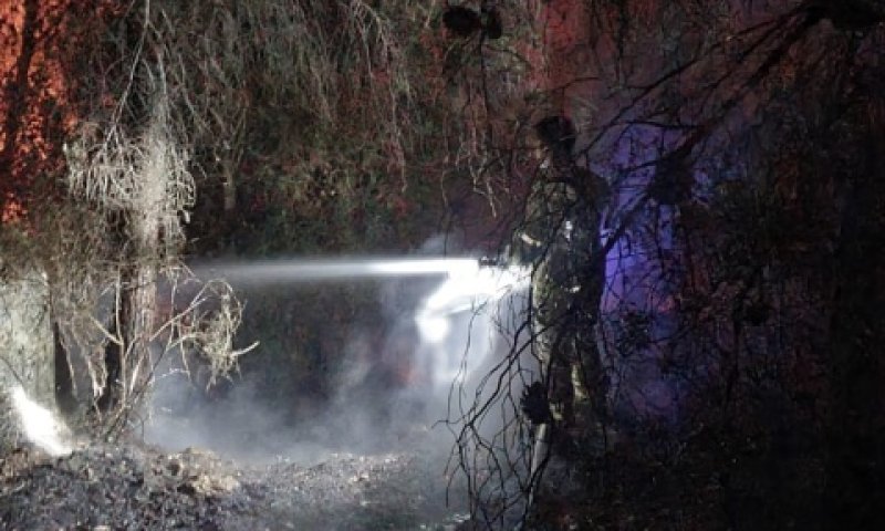 מאמצי הכיבוי נמשכים גם בלילה [צילום: דוברות כבאות והצלה]
