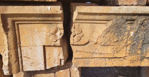 [צילום: יונתן אורלין/רשות הטבע והגנים]
