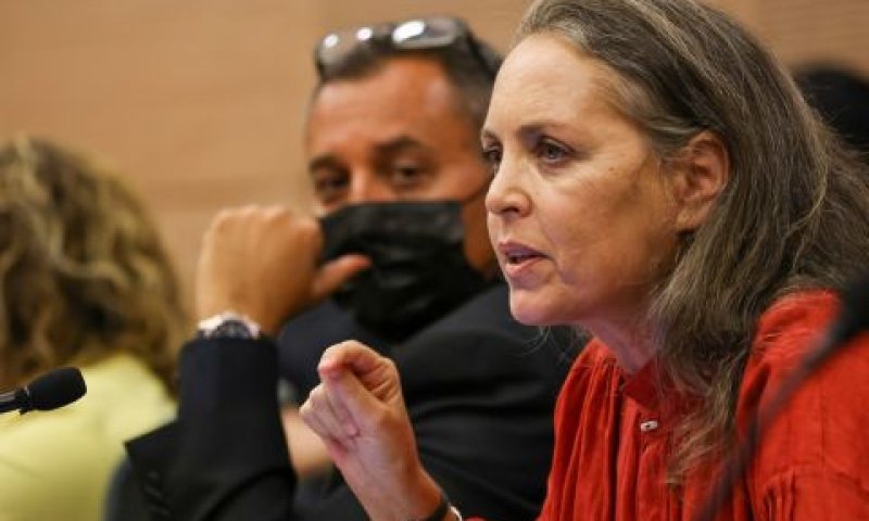 ח"כ גבי לסקי וסימון דוידסון [צילום: נועם מושקוביץ/דוברות הכנסת]