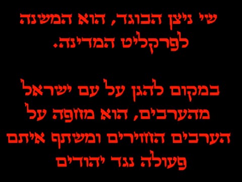 מתוך הסרטון שהופץ ברשת