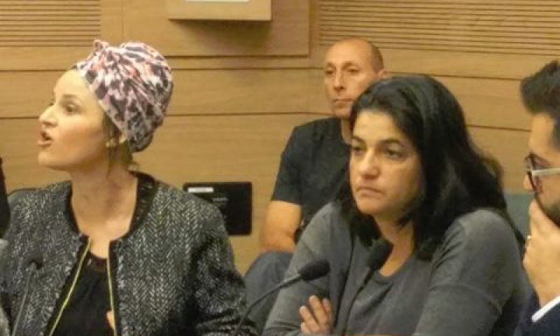 מדרג עבירות ההמתה [צילום: דוברות הכנסת]