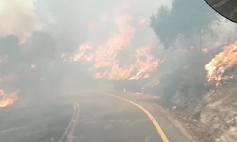 השריפה ביישוב אדרת [צילום: נציבות כבאות והצלה]