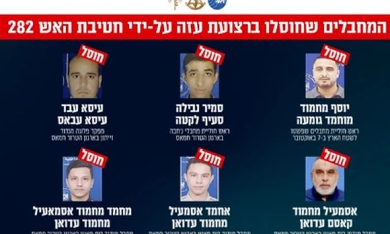 [צילום: דובר צה"ל]
