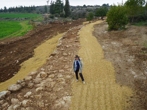 מנהלת החפירה אירנה זילברבוד באתר [צילום: חברת גריפין צילום אווירי, באדיבות רשות העתיקות]