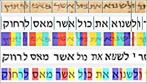 זיהוי אוטומטי של מילים ואותיות מהמגילות יפתח אפשרויות חיפוש מתקדמות [צילום: גיל שדה/אוניברסיטת ת"א]