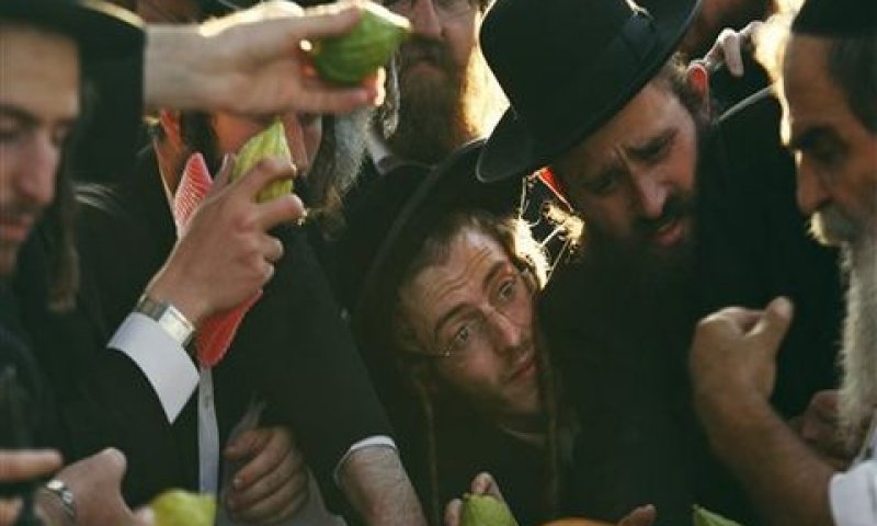 [צילום: AP]