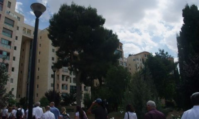 הולילנד. ש"ד הועסק לאור בקיאותו ונסיונו