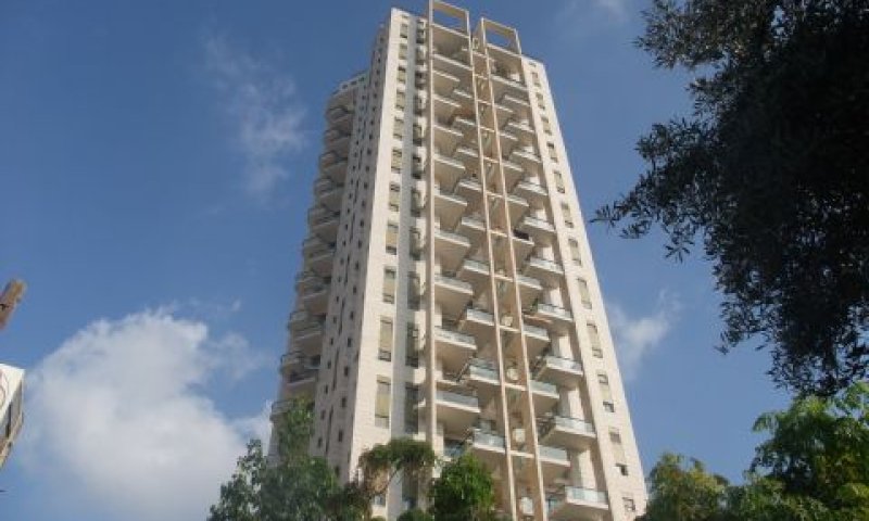 מגדלי התמרים. "השמאי ביצע פשע"