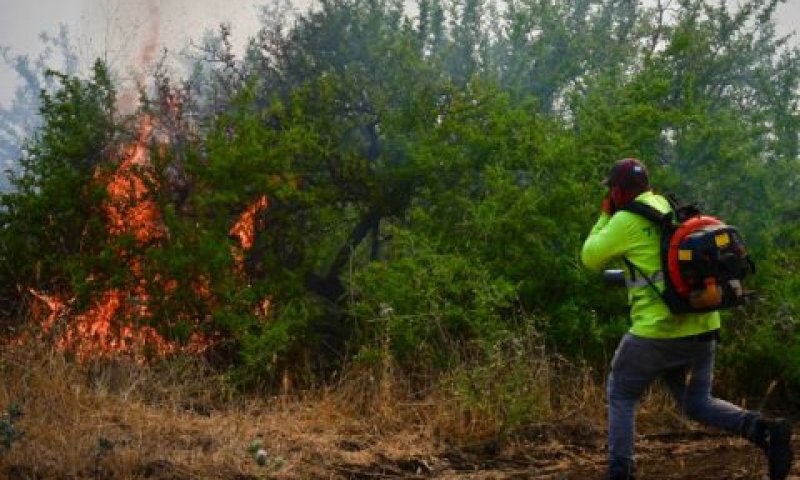 שרפה שנגרמה ליד קצרין [צילום: מיכאל גלעדי/פלאש 90]