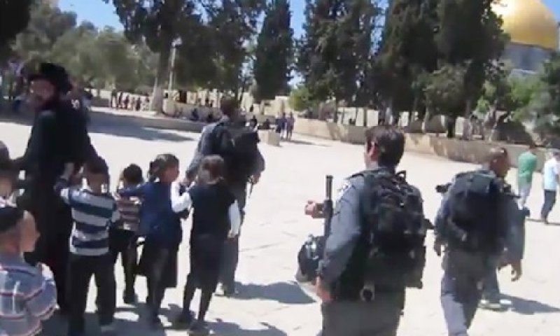 הילדים החרדים על הר הבית [צילום: מן הטלוויזיה]