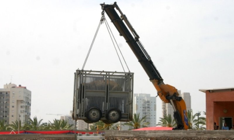 העמסת פילה על מנוף