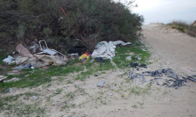 [צילום: גליה פסטרנק, מפקחת להגנת הסביבה הימית]