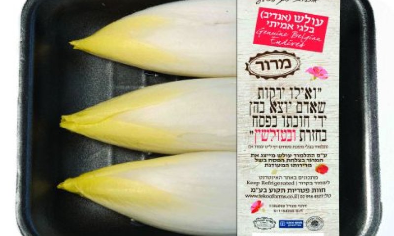 [צילום: עירית קלר]
