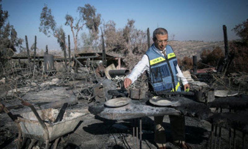 "תיאום מלא" [צילום: יונתו זינדל, פלאש 90]
