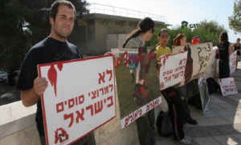 [צילום: אורן זיו/אקטיבסטילס]