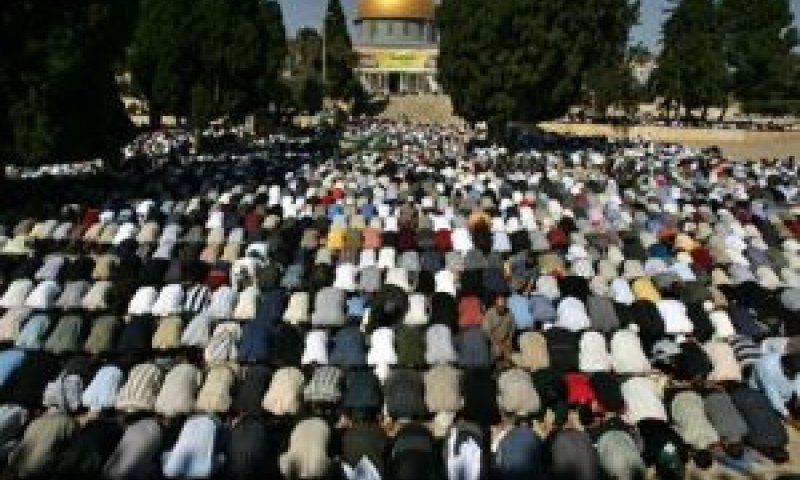 הפעילים המוסלמים יהיו מנוטרלים [צילום: AP]