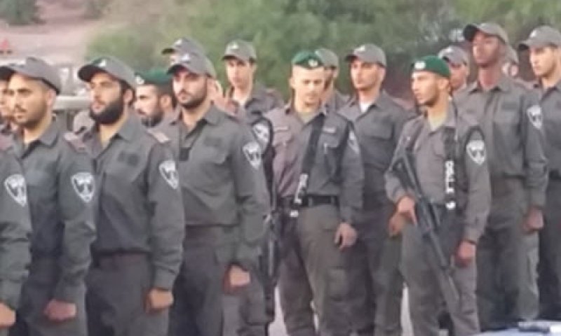 [צילום: ציפורה חלפון]