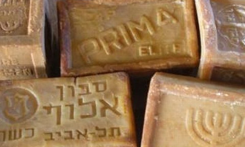 [צילום: יח"צ]