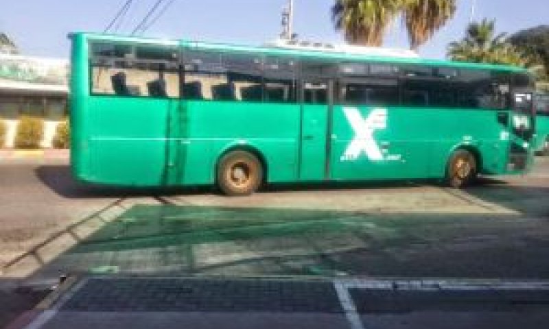 [צילום: אלי אלון]