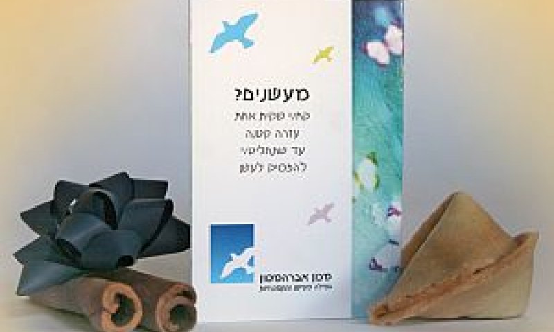 [צילום: יח"צ]