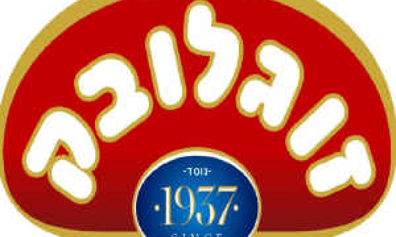 [צילום: יח"צ]