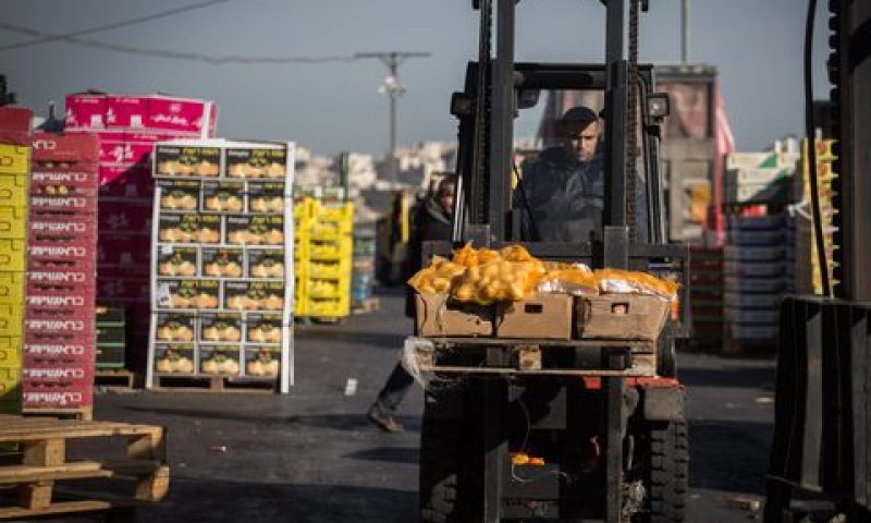 תוצרת חקלאית [צילום: הדס פרוש/פלאש 90]