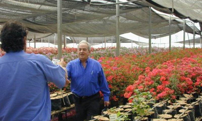 לא הגישו מסמכים [צילום: יוסף עברון]