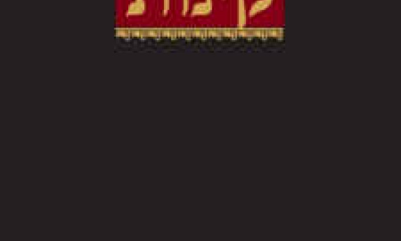 [צילום: יח"צ]