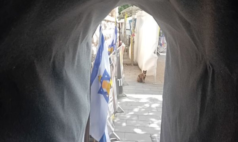 מיצג מטה המשפחות בירושלים