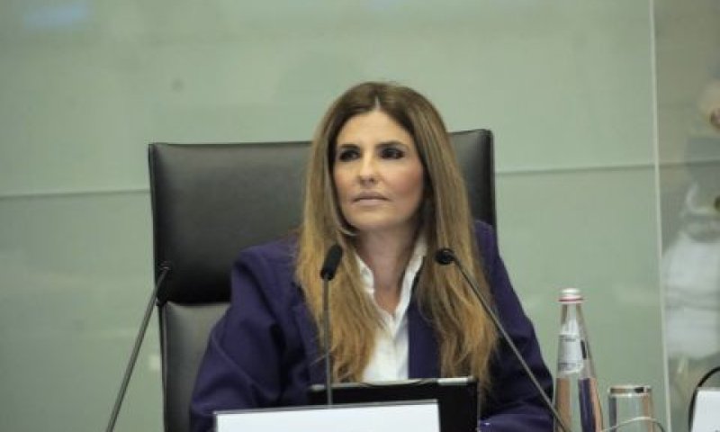 לימור מגן תלם. "50 משפחות שהפרנסה שלהם עומדת להיפגע קשות" [צילום: דני שם-טוב, דוברות הכנסת]