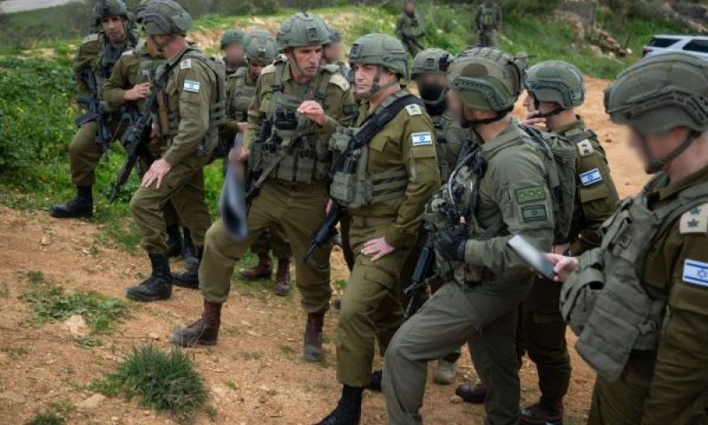 זמיר בצפון [צילום: דובר צה"ל]