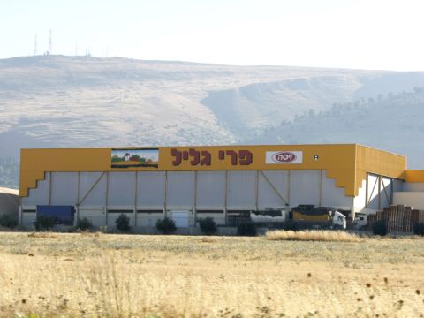 [צילום: פלאש 90]