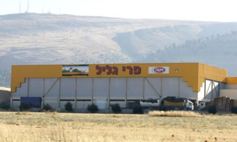 מפעל של פרי הגליל [צילום: פלאש 90]