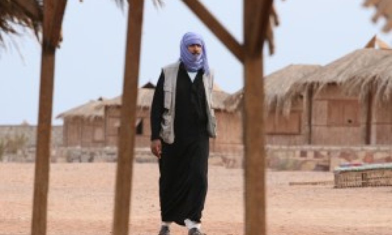סיני. אתר בסיכון [צילום: פלאש 90]