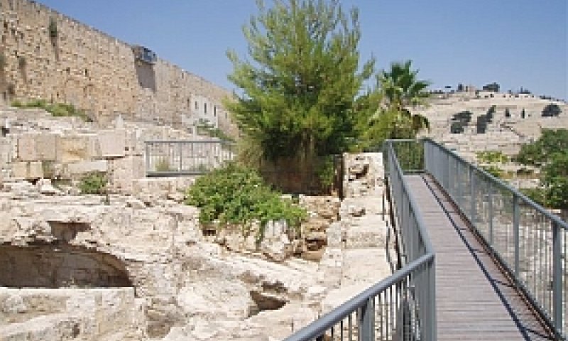 [צילום: יחסי ציבור]