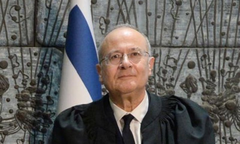 אלרון. מפר תמים [צילום: מארק ניימן, לע"מ]