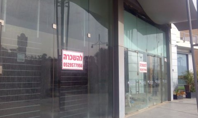 [צילום: איתמר לוין]