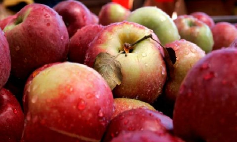 שלבו את התפוחים בתפריט היומי [צילום: פלאש 90]
