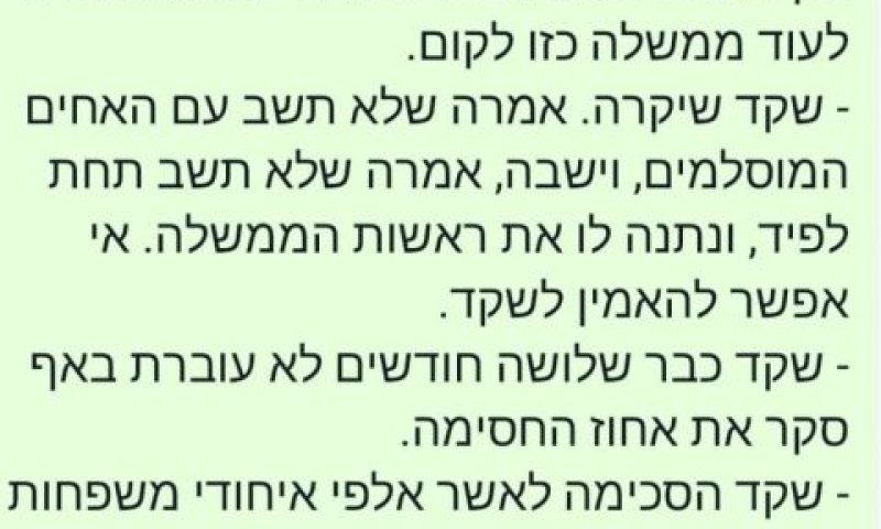 דף מסרים של הליכוד נגד איילת שקד