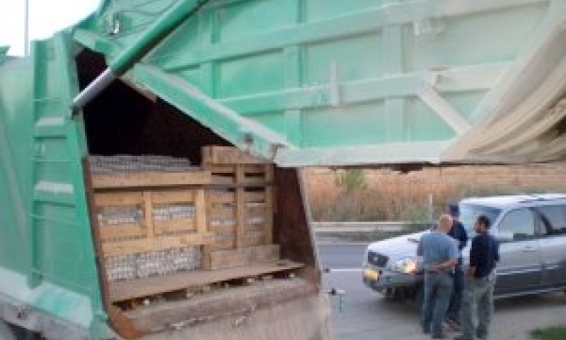 הביצים המוברחות במשאית הזבל [צילום: נפתלי דדון]