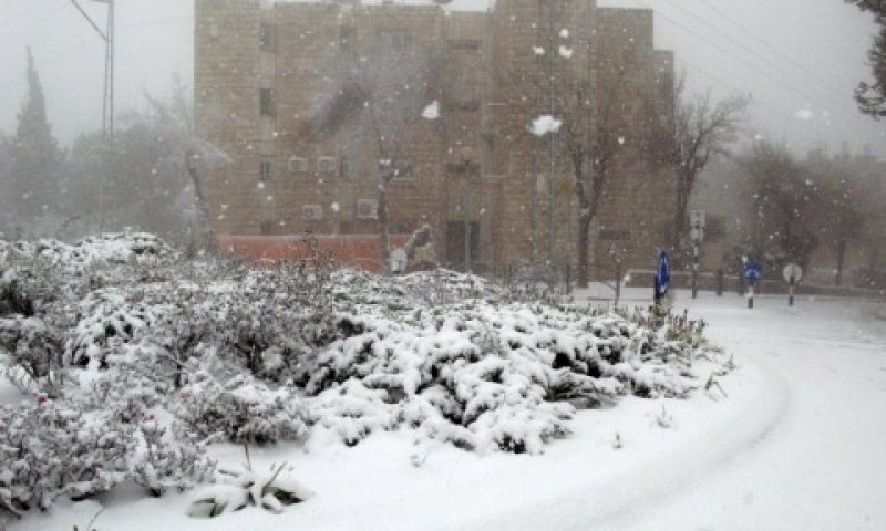 לובן בוהק פותח את סוף השבוע [צילום: חגי גלאס]