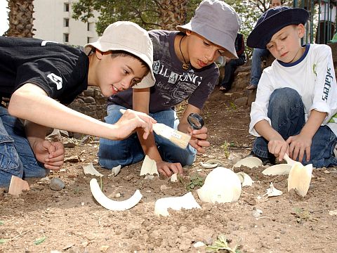 סדנאות ארכיאולוגיה [צילום: עיריית טבריה]