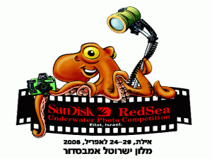 התחרות - לא למקצוענים בלבד