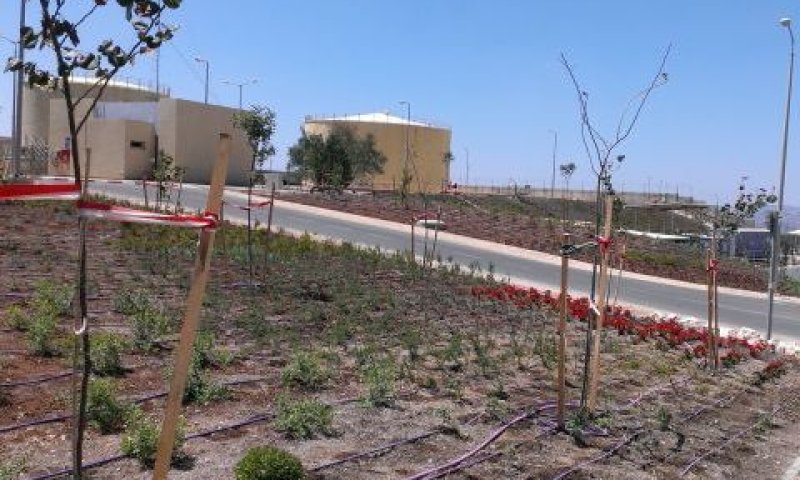 תחנת אלון תבור. מלאי חירום? [צילום: חברת החשמל]