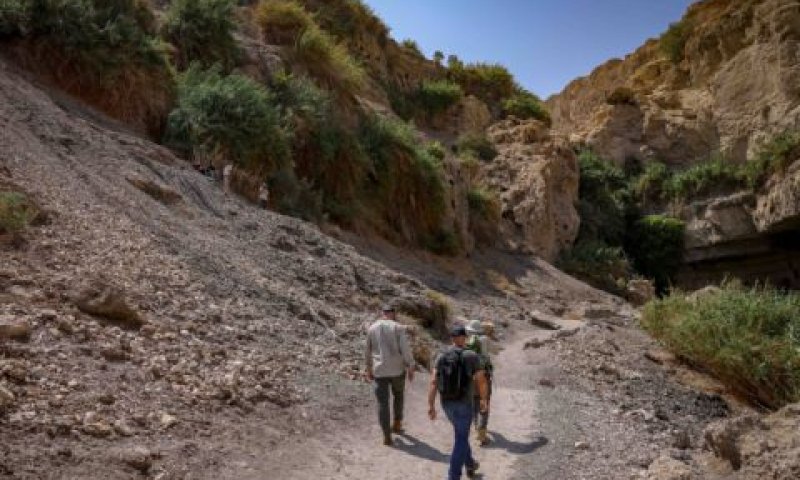 שמורת עין גדי [צילום: חיים גולדברג/פלאש 90]