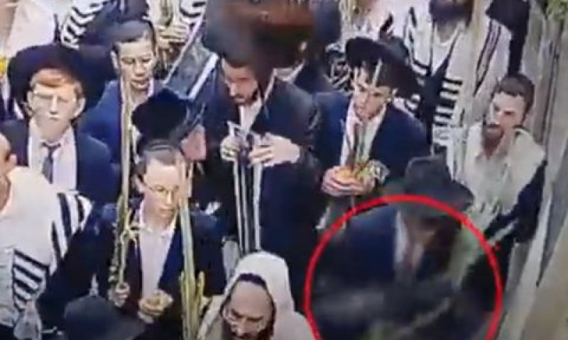החשודים הועברו לחקירה [צילום: משטרת ישראל]