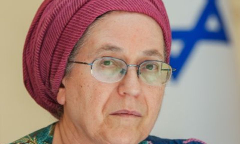 סטרוק. "הצבענו בעד מהלך אחראי ורציני" [צילום: אייל מרגולין/פלאש 90]